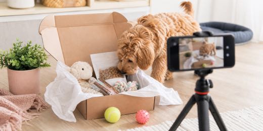 Pet Subscription Box Push